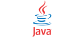 java website development in udaipur